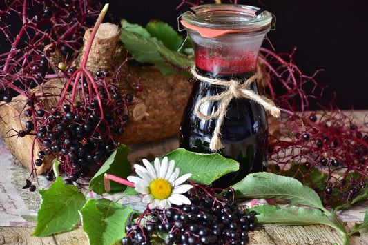 Six Surprising Elderberry Extract Benefits - Earth's Secret