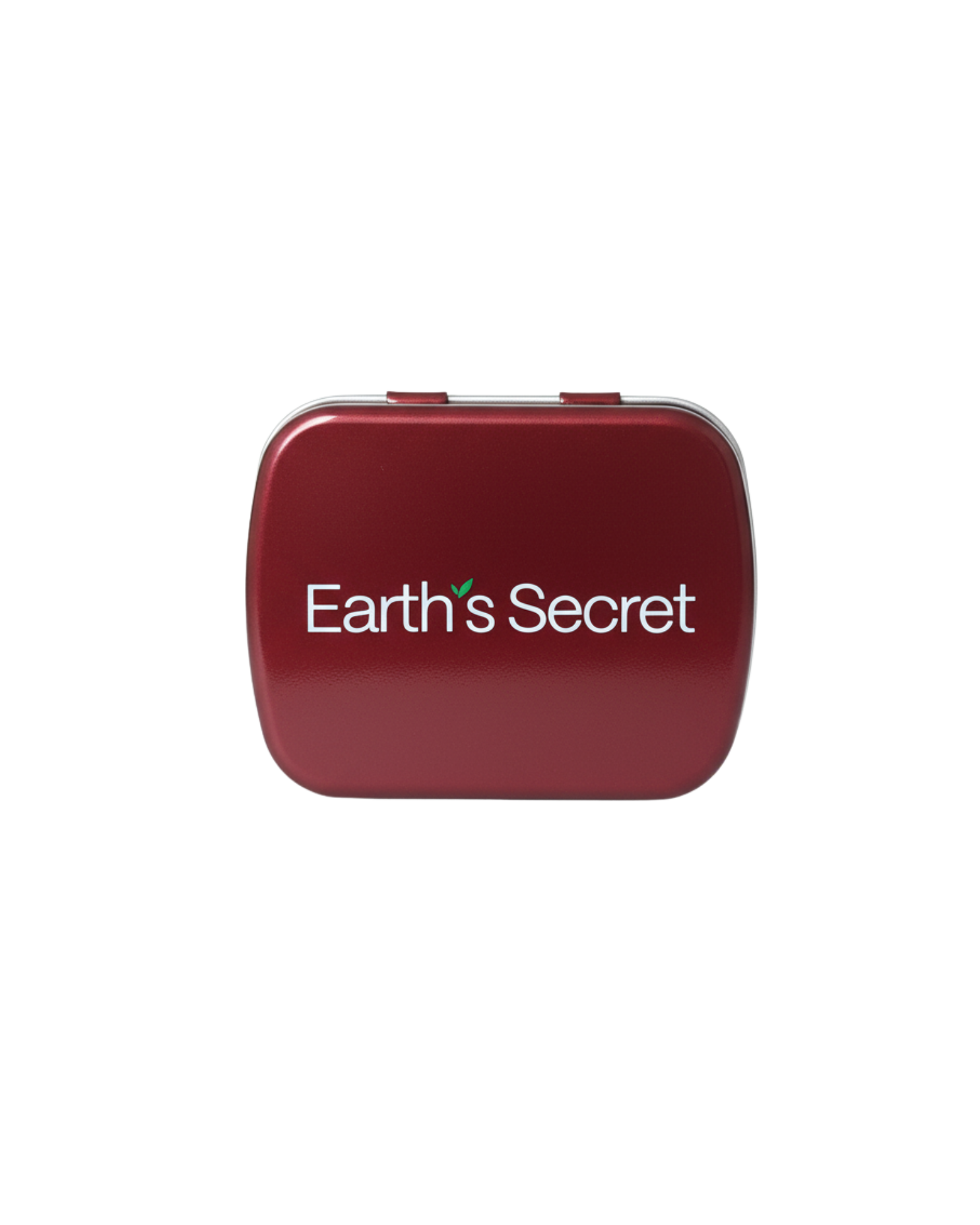 NEW Plum Travel Case