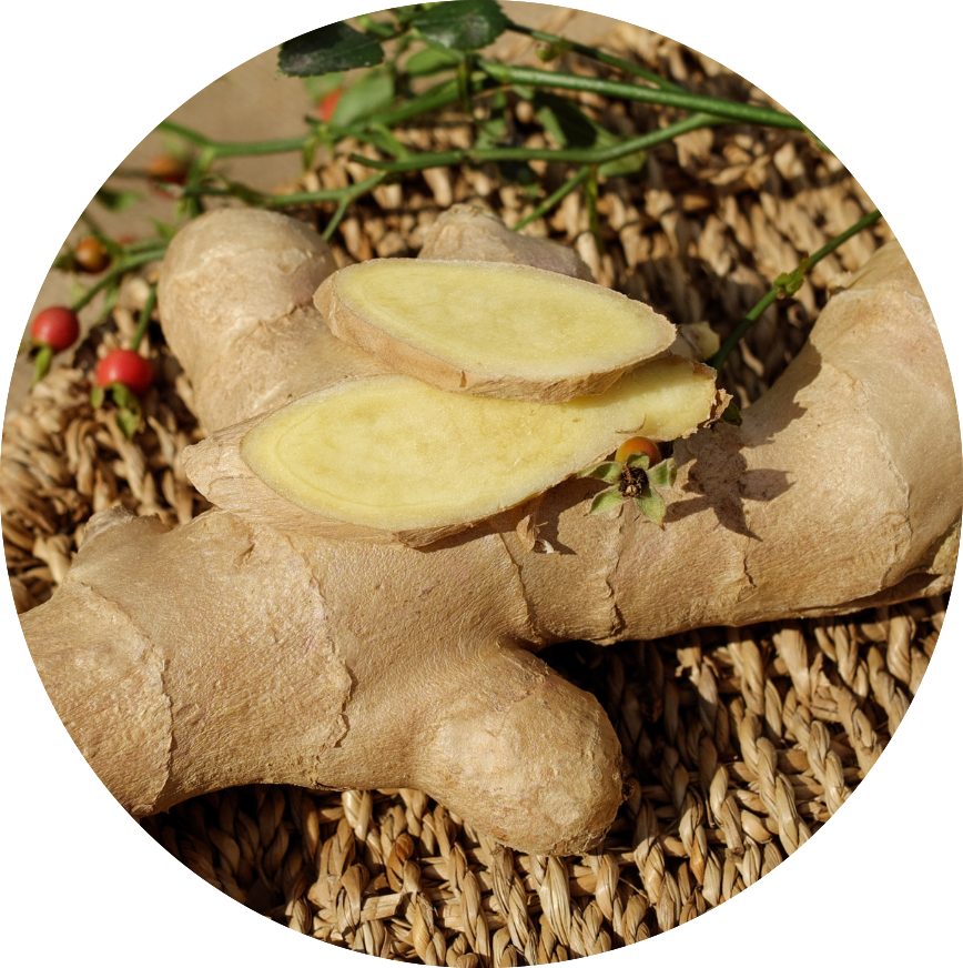 Fresh ginger root