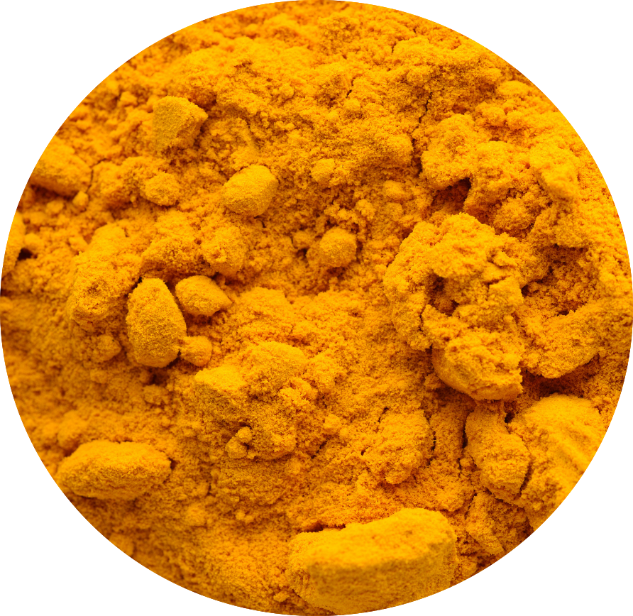 Turmeric powder
