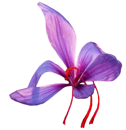 saffron icon